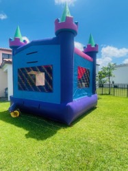 IMG 8186 1767206233 Purple, pink, blue and green bounce castle with hoop